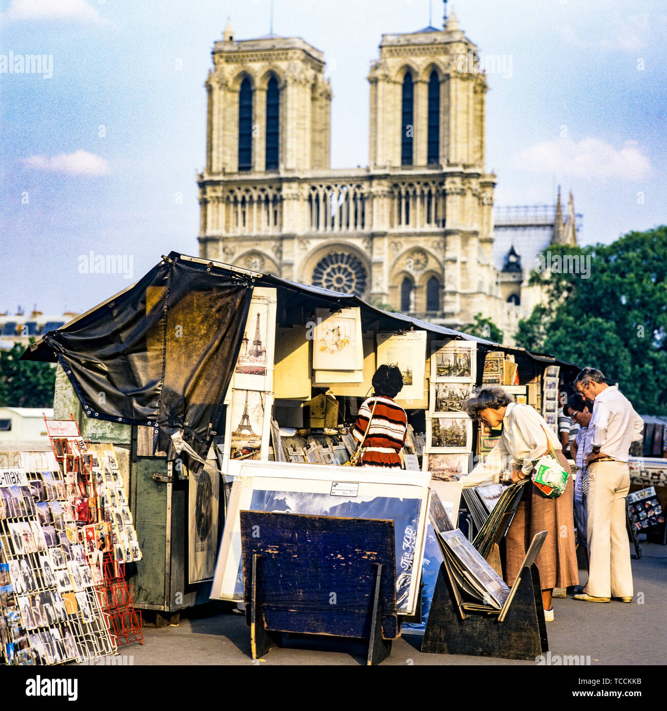 People shopping, secondhand booksellers, bouquinistes, quai de Montebello quay, Notre-Dame de Paris cathedral, Paris, France, Europe, Stock Photo