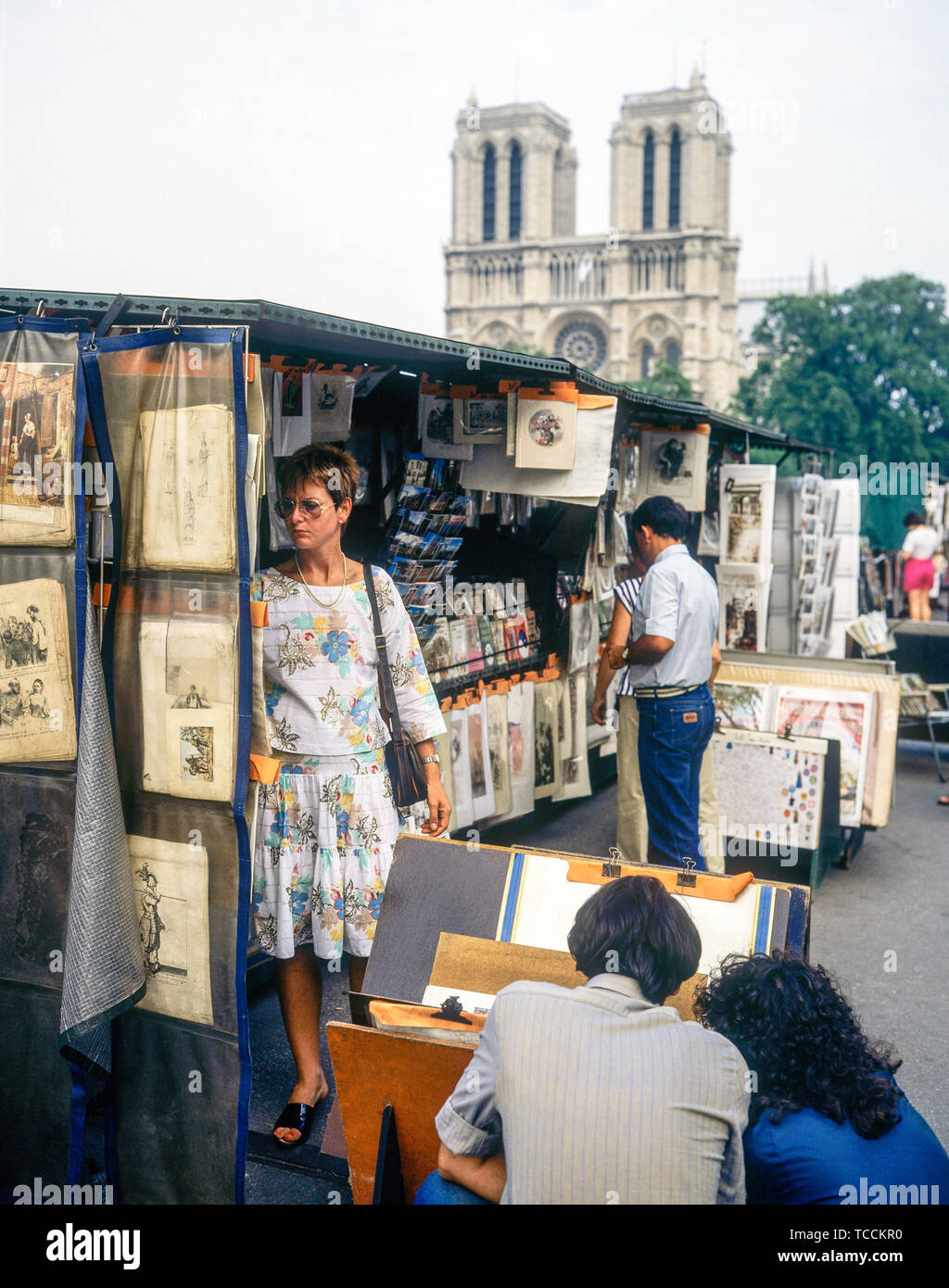 People shopping, secondhand booksellers, bouquinistes, quai de Montebello quay, Notre-Dame de Paris cathedral, Paris, France, Europe, Stock Photo