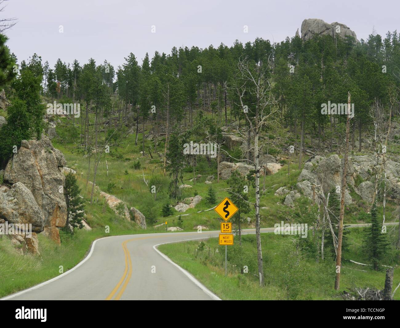 Beautiful landscape of a winding road and road signs at Needles Highway ...