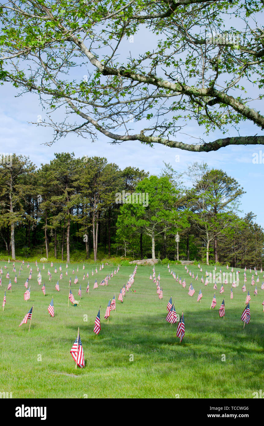 National Cemetery in Bourne, Massachusetts with American flags placed on each grave marker for Memorial Day framed by tree branches w/ leaves Stock Photo