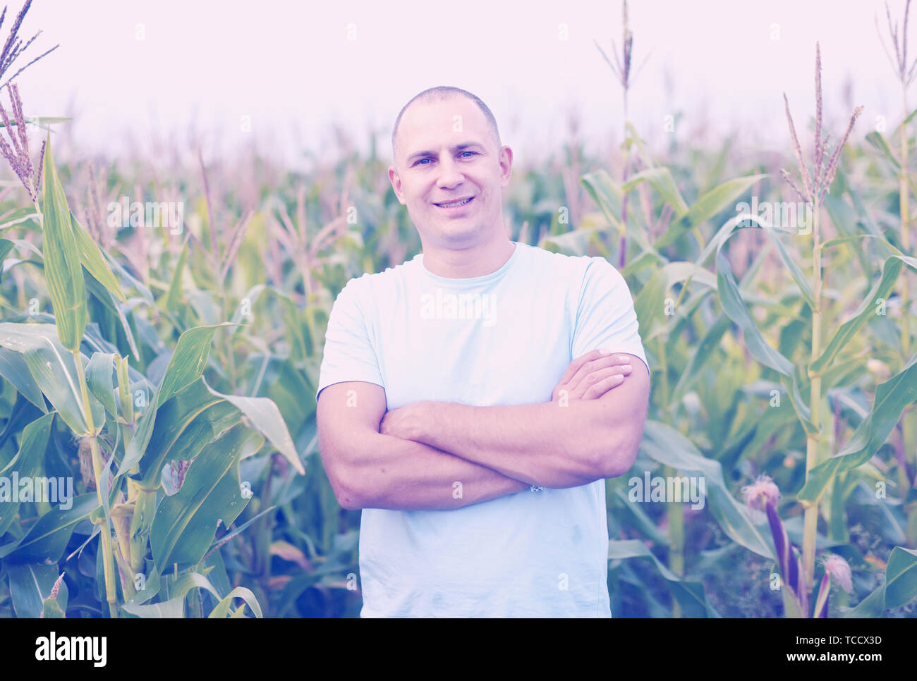 Happy farmer in field of corn Stock Photo - Alamy