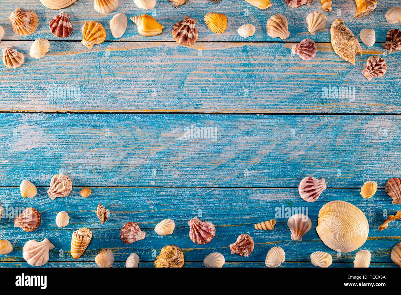 Summer time concept with sea shells on a blue wooden background. Seashells frame on wooden background nautical border. Focus on seashells. Stock Photo
