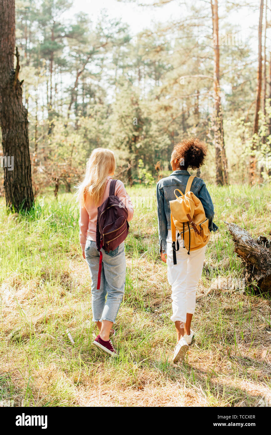 back view of two multiethnic friends with backpacks walking in forest ...