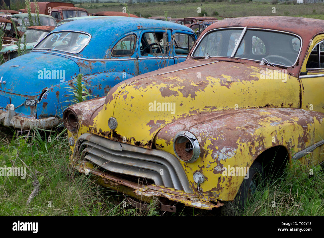 Old classic cars scrapyard in Rocha, Uruguay Stock Photo Alamy