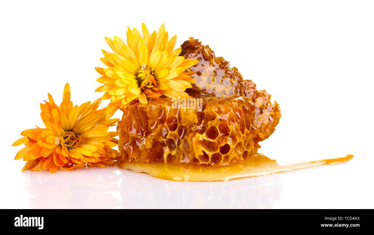 tasty honeycombs and flowers isolated on white Stock Photo