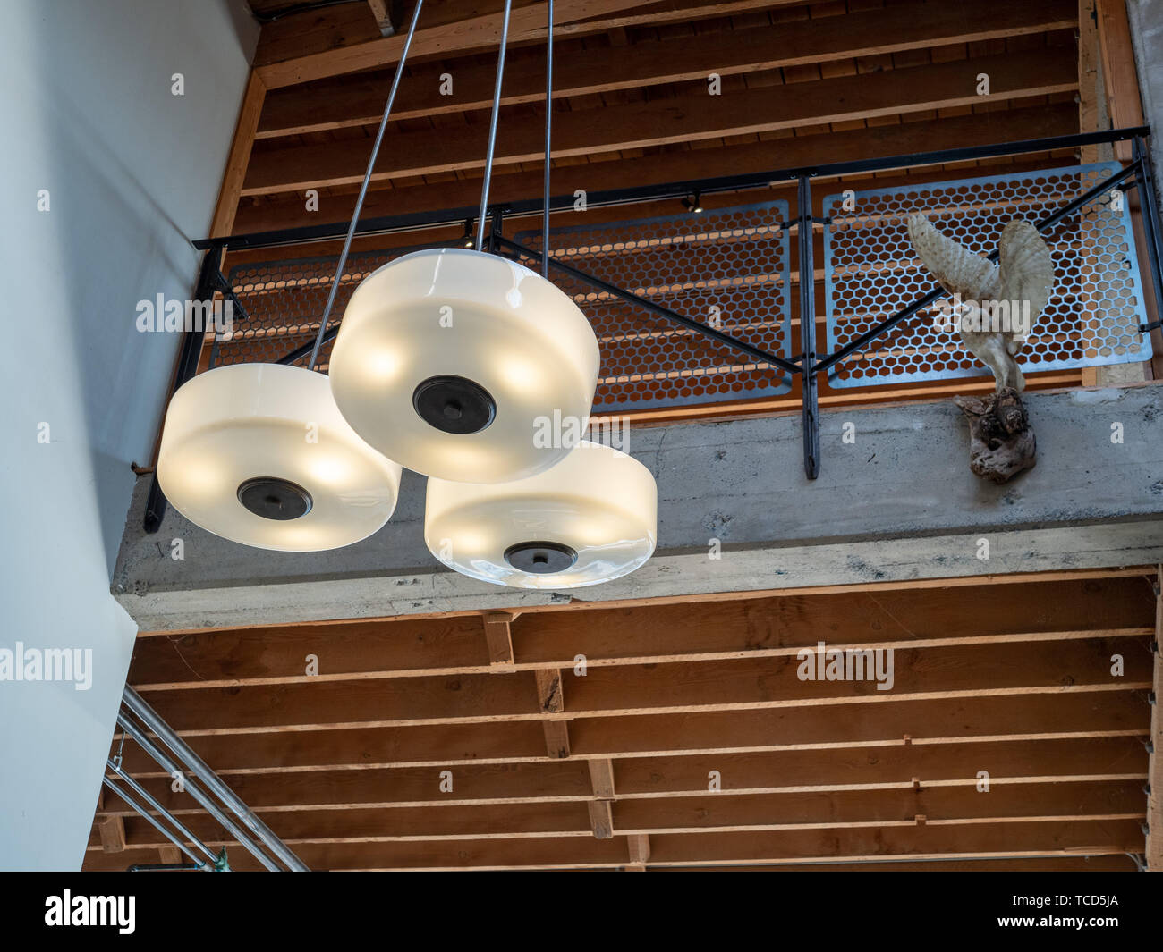 Hanging light fixture with fixed owl near second story of open beam