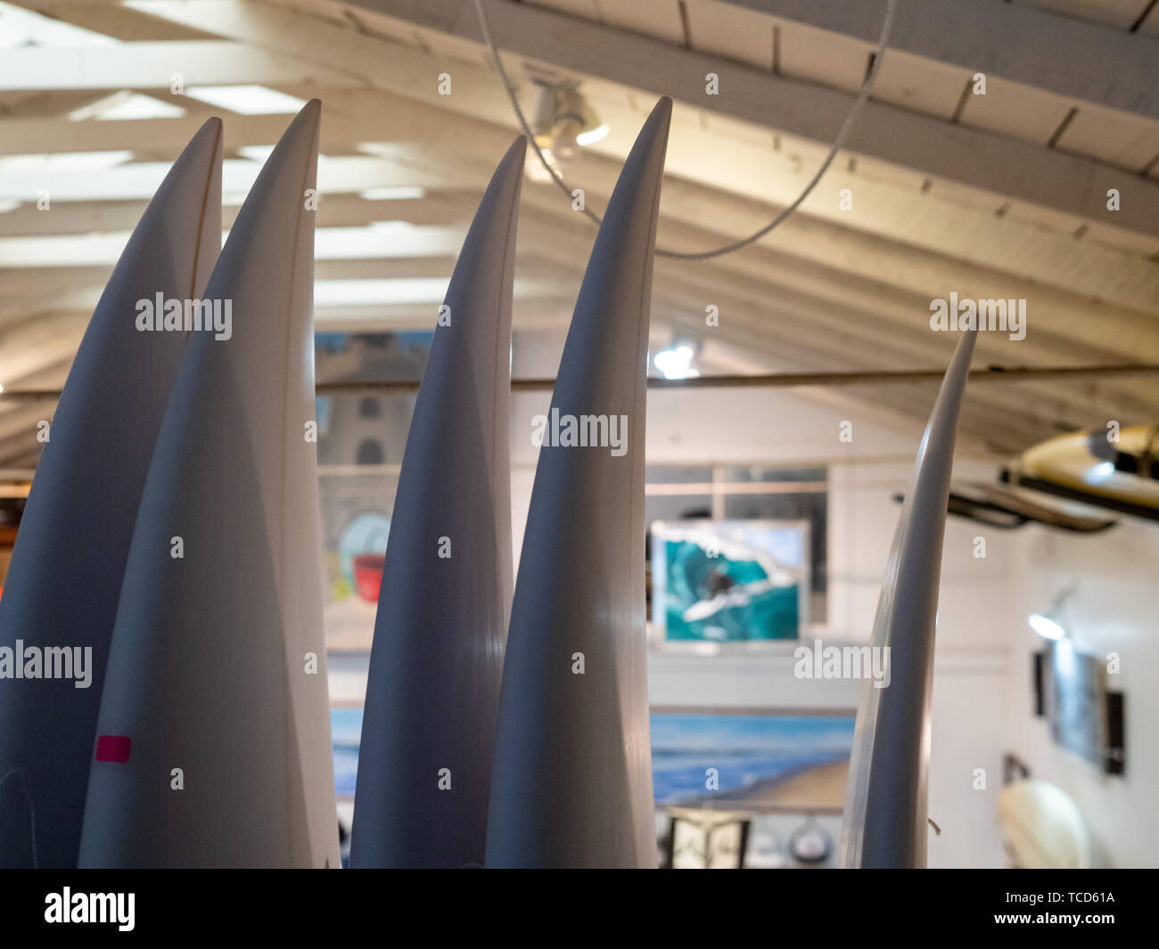 Row of vertical white surfboards displayed inside of store Stock Photo