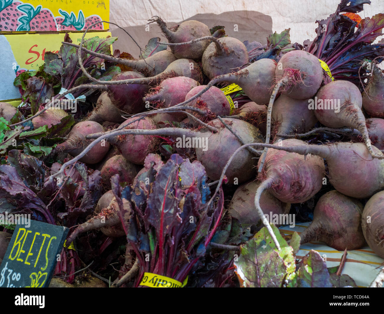 Raw beets at outdoor sales area at farmers market with sign ready for sale Stock Photo