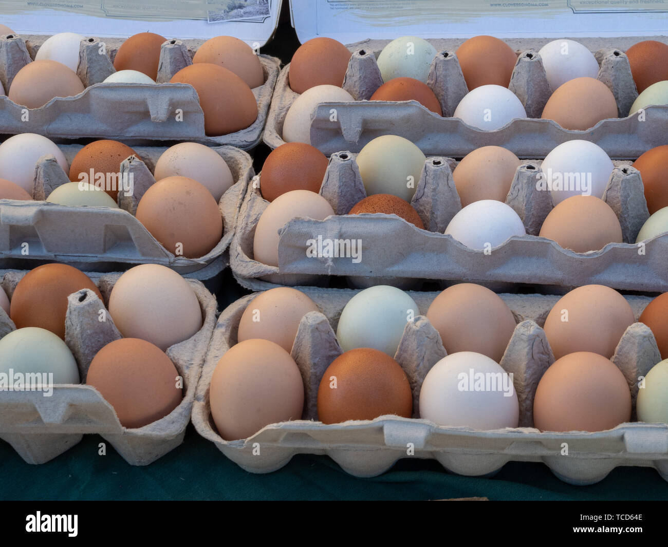 Brown and white eggs sitting in dozen count cartons sitting Stock Photo