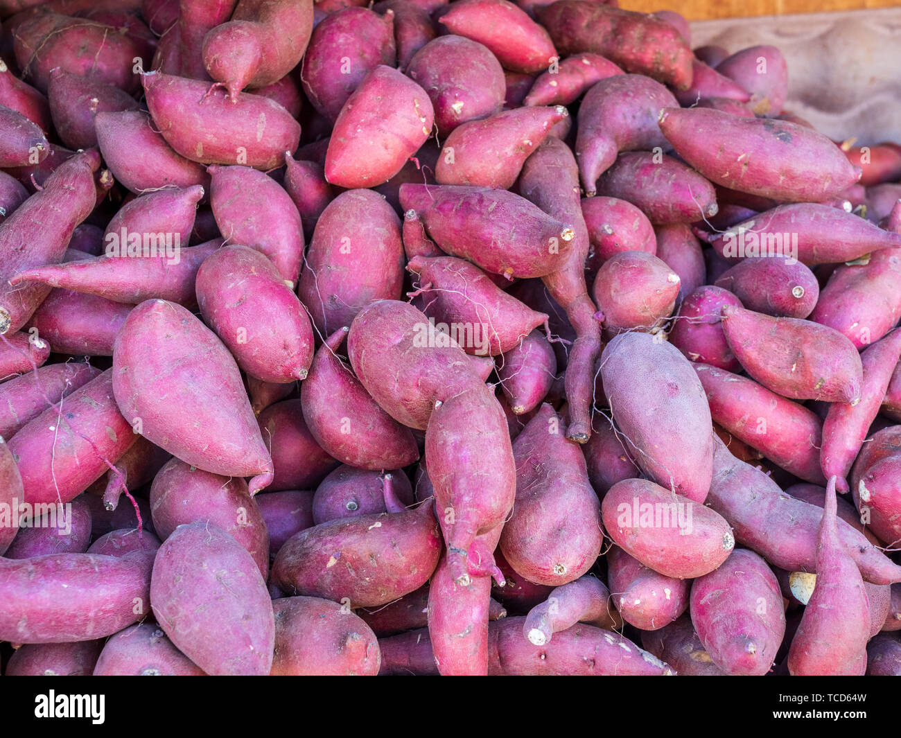 Pile of fresh yams at farmer market for sale Stock Photo