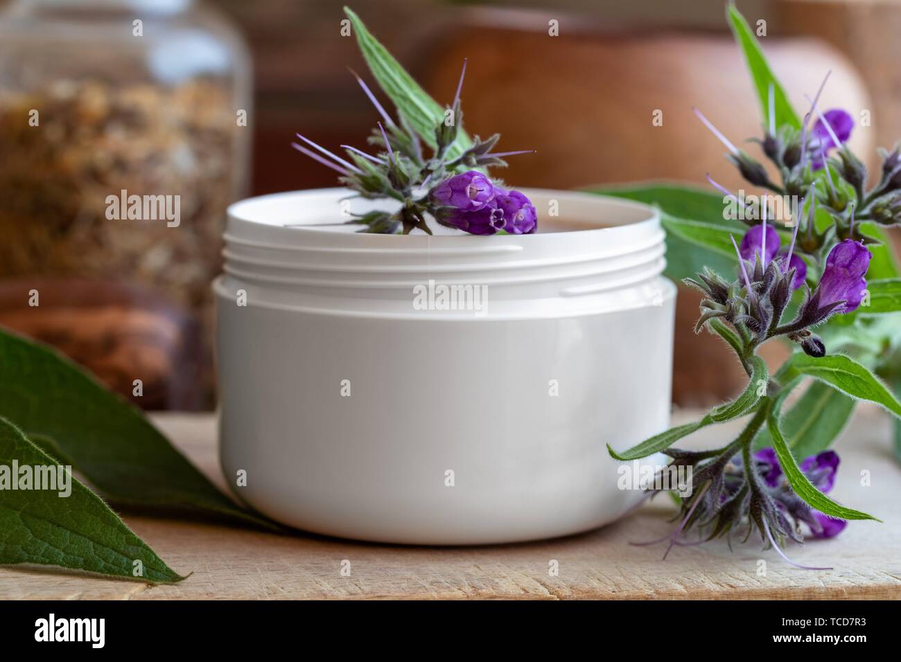 A jar of comfrey root ointment with fresh symphytum officinale leaves and flowers. Stock Photo