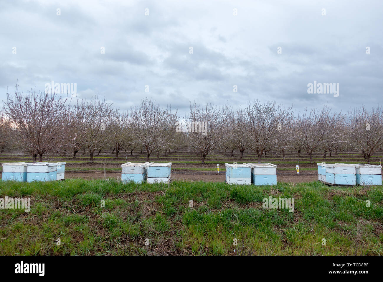 Orchard Bee Hives High Resolution Stock Photography and Images - Alamy