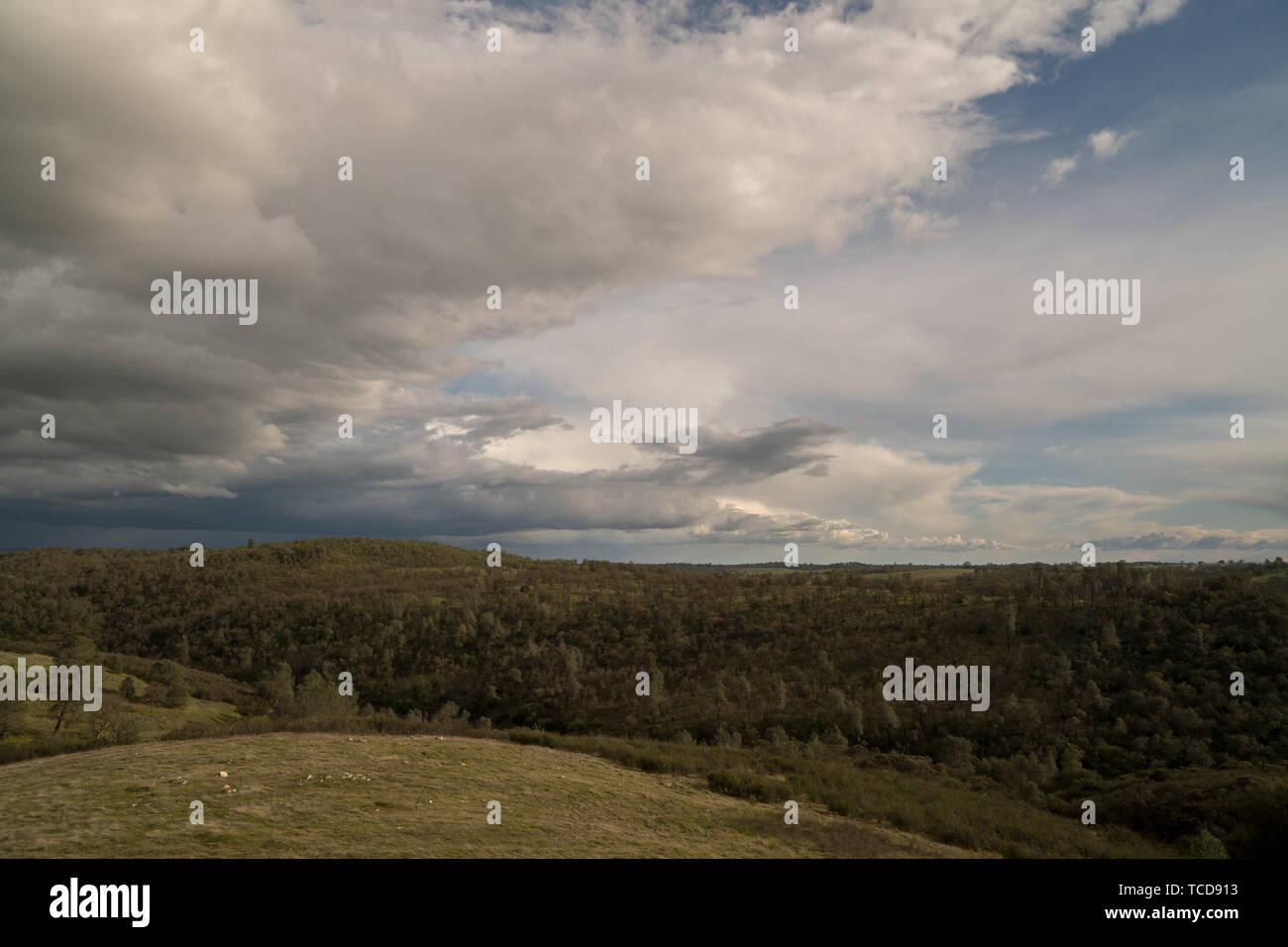 Landscape of endless hills covered with lush green grass and forests on ...