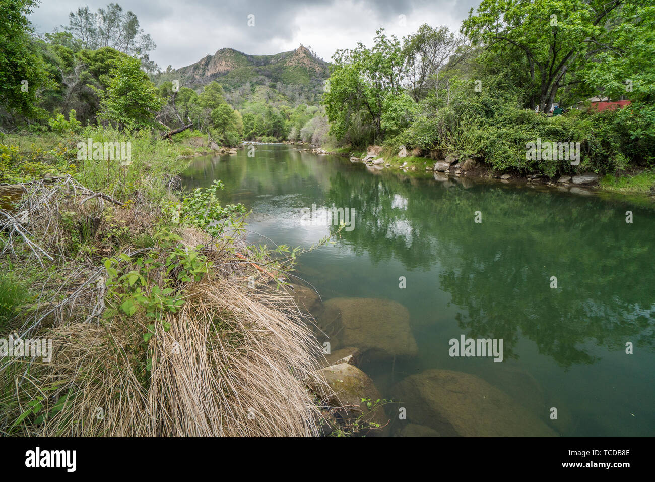 Putah Creek solano county, california Stock Photo - Alamy