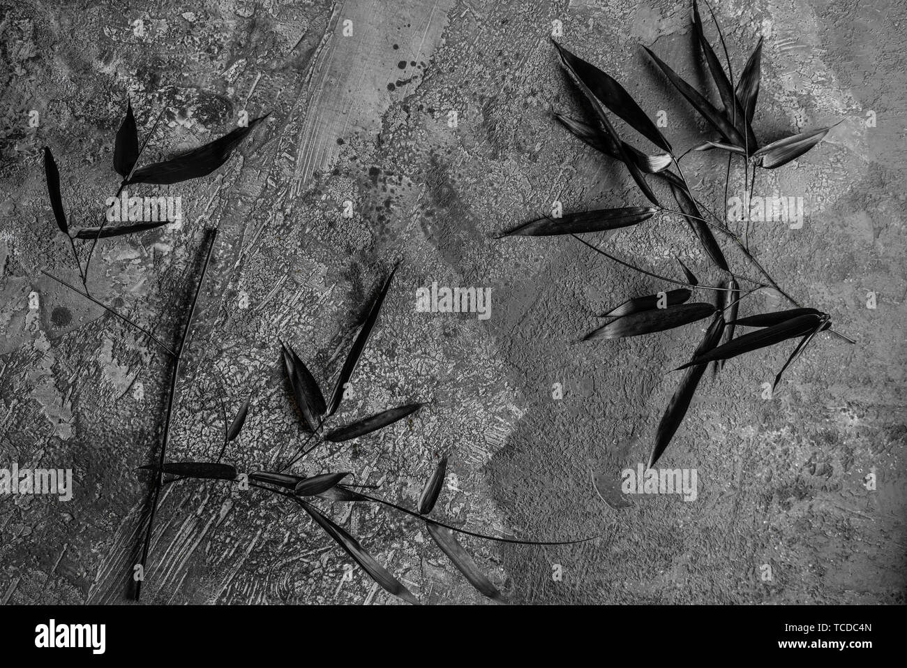 Dark coloured bamboo fence with a black bamboo leaf Stock Photo