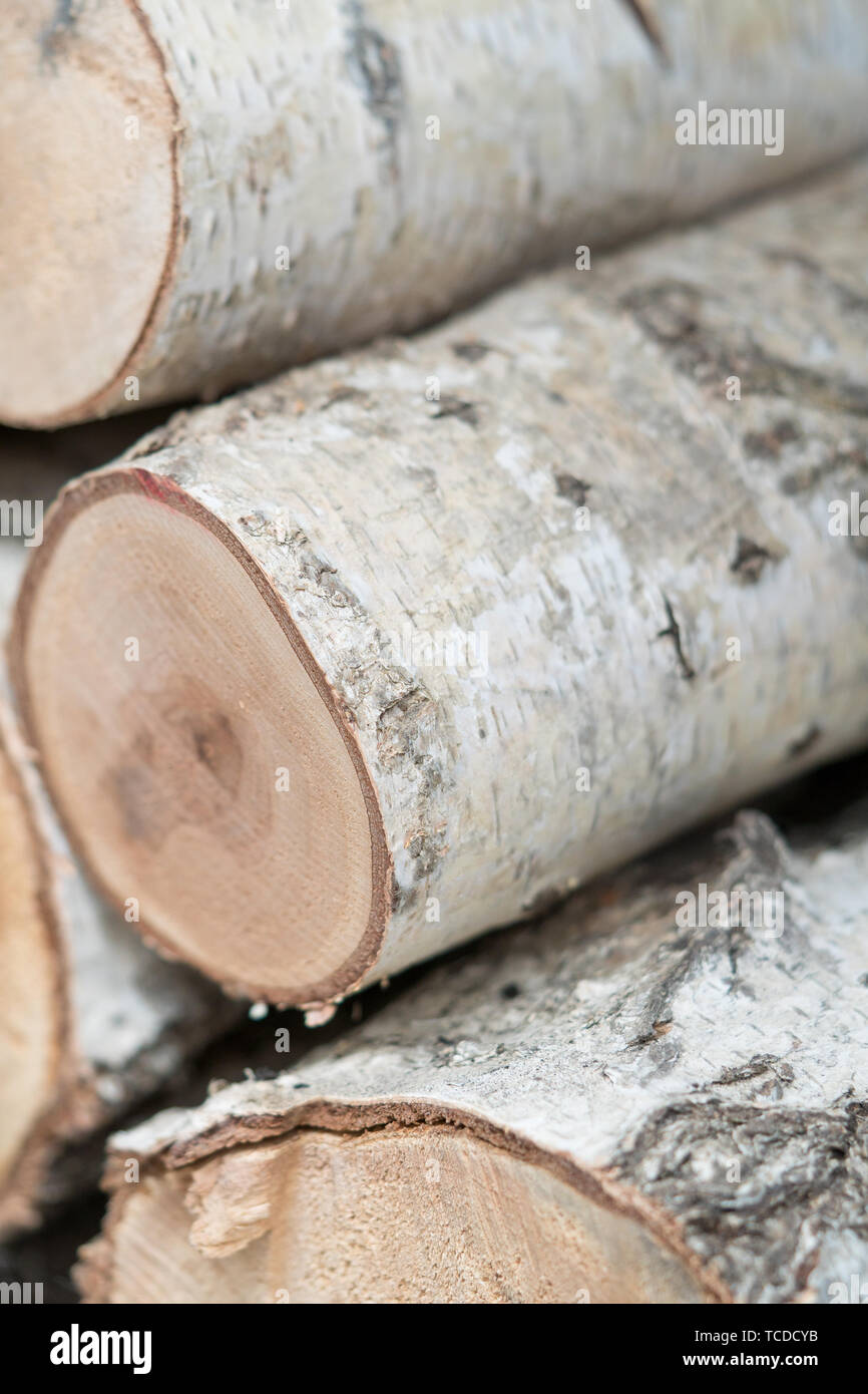 Birch wood log wood pile Stock Photo - Alamy