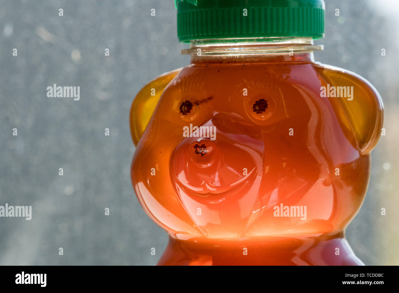 glowing back lit honey in bear jar Stock Photo - Alamy
