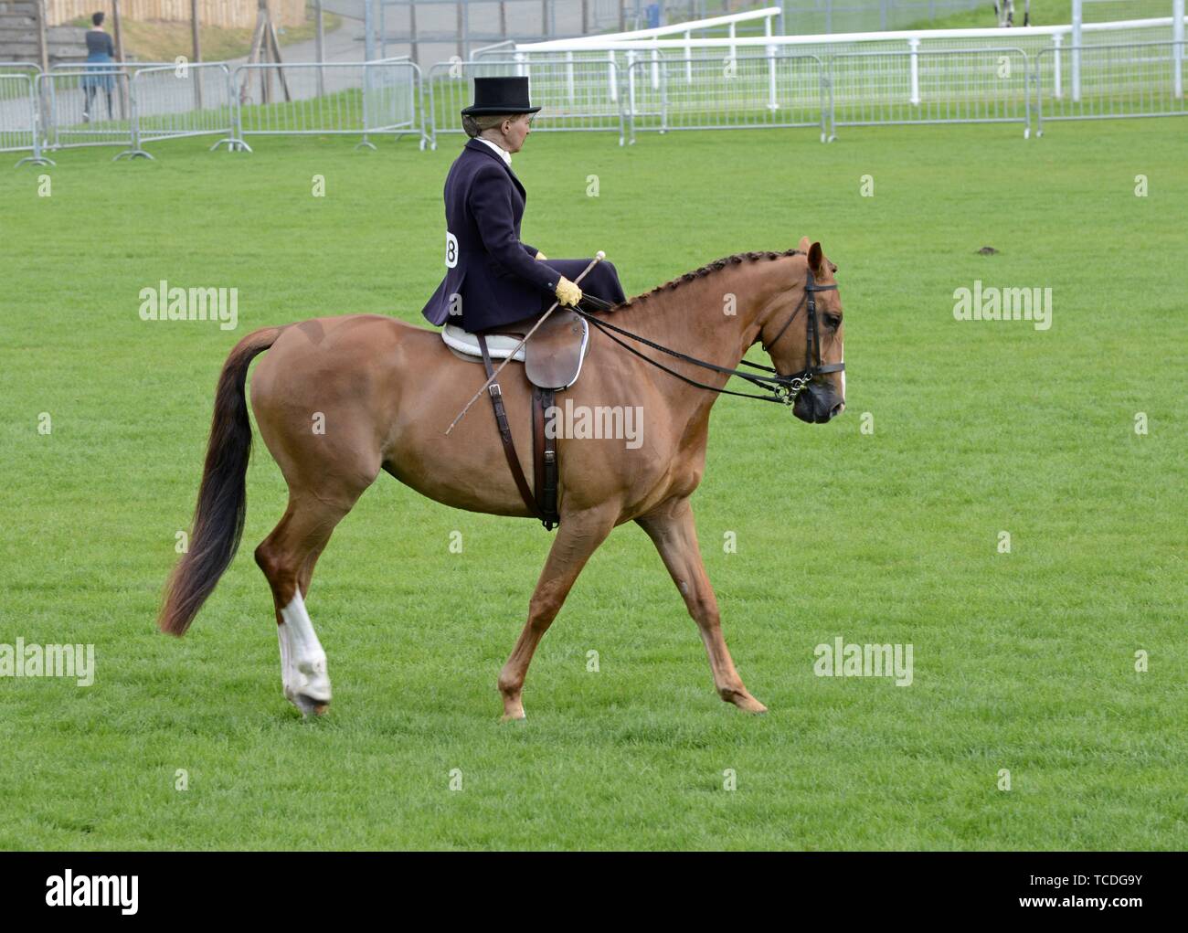 Side Saddle Rider Stock Photos & Side Saddle Rider Stock Images - Alamy