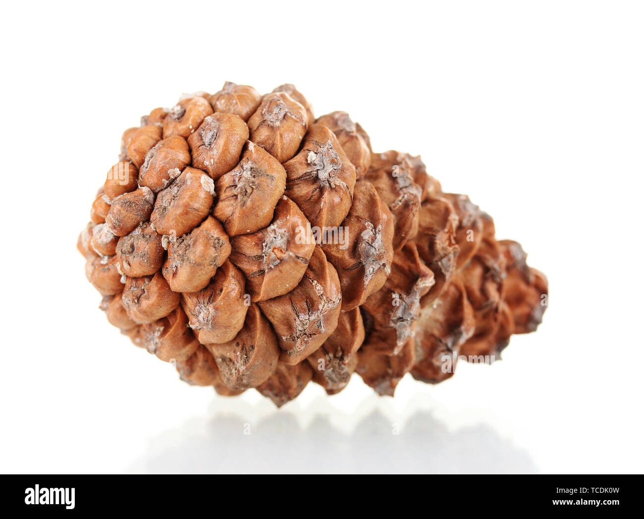 Beautiful pine cone isolated on white Stock Photo - Alamy