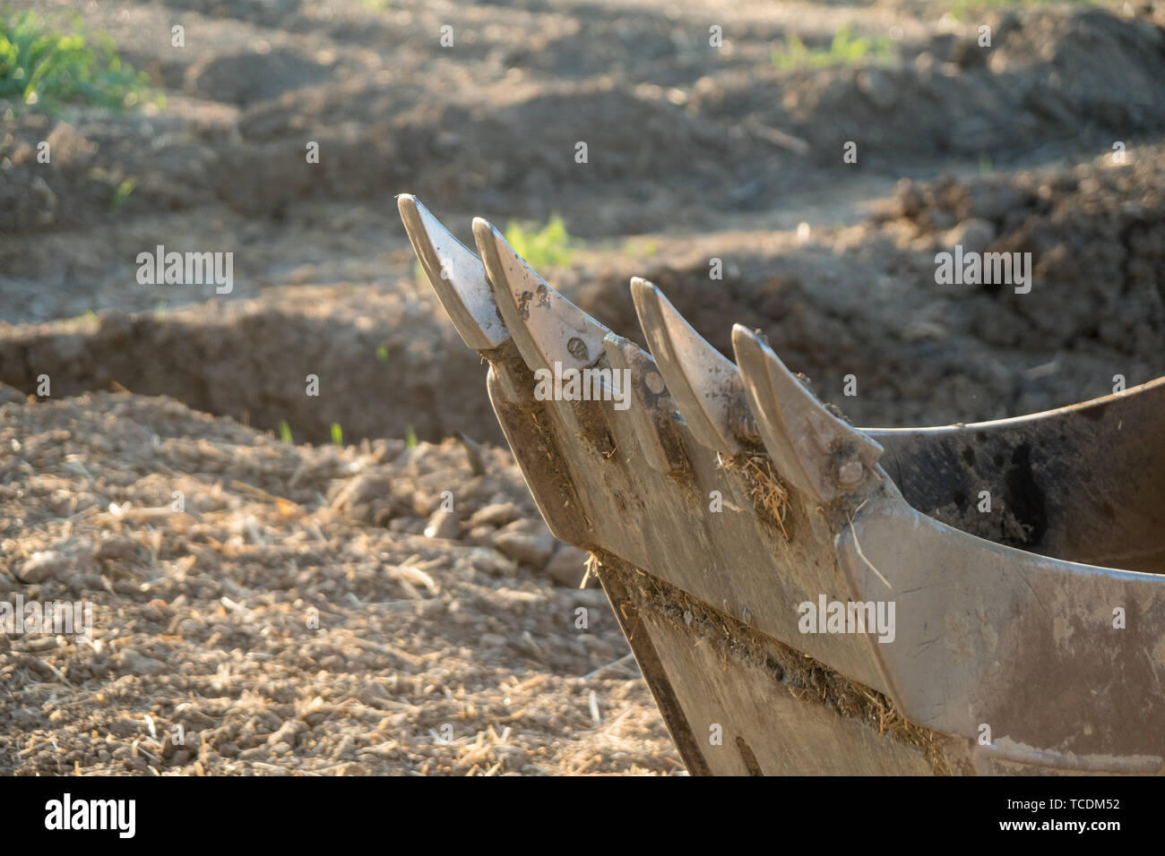 dirty excavator bucket digging teeth Stock Photo Alamy