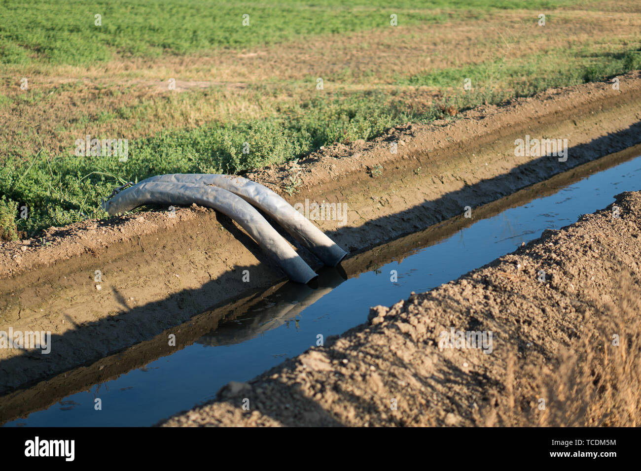 agriculture field irrigation syphon system Stock Photo Alamy
