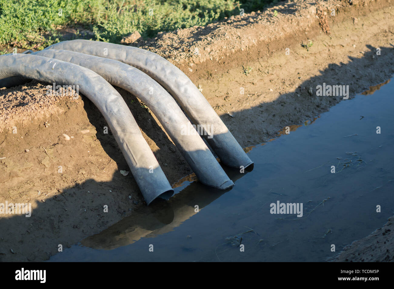 agriculture field irrigation syphon system Stock Photo Alamy