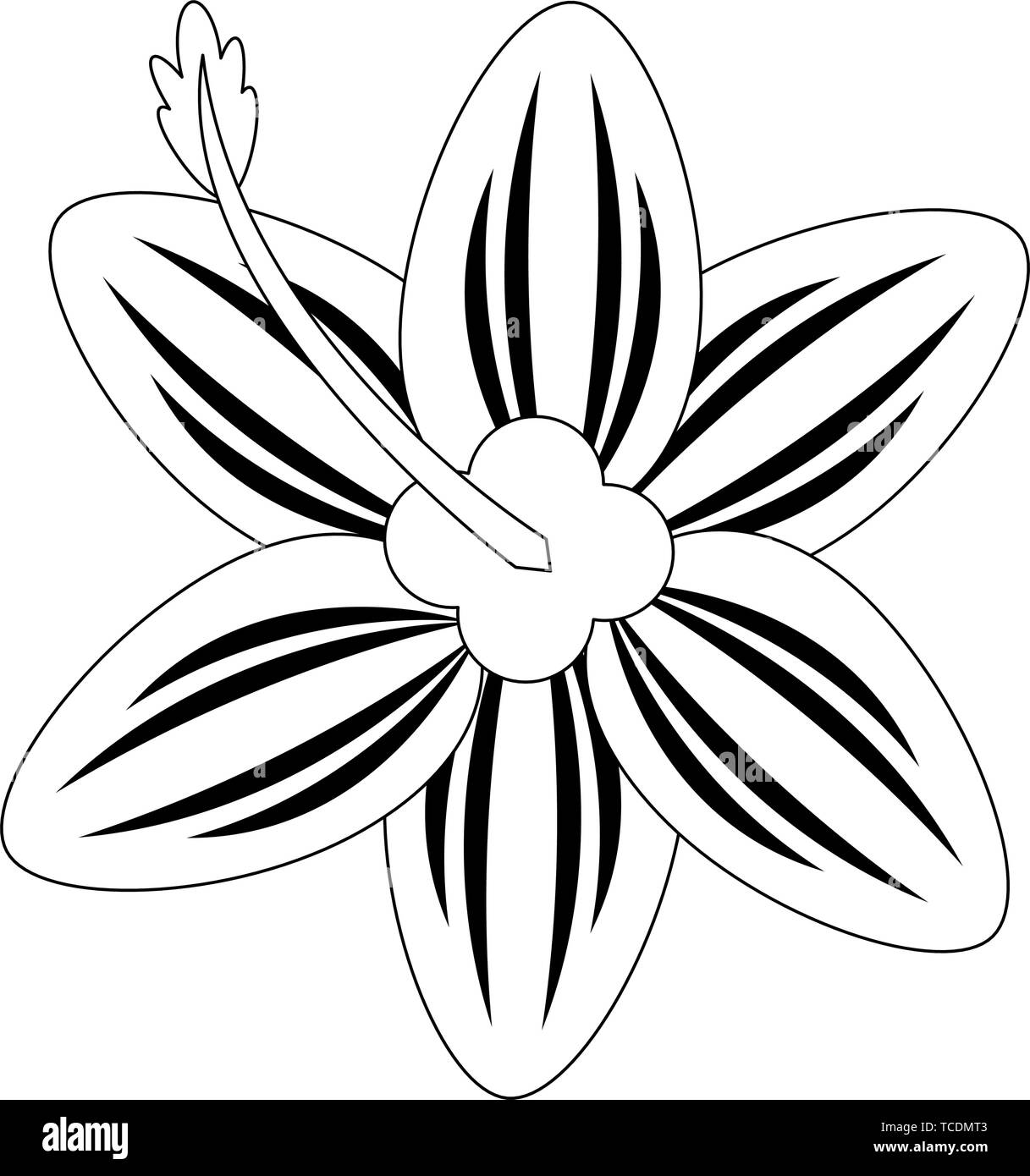 tropical flower icon cartoon isolated in black and white Stock Vector ...