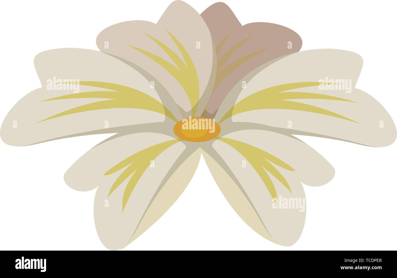 tropical flower icon cartoon isolated Stock Vector Image & Art - Alamy