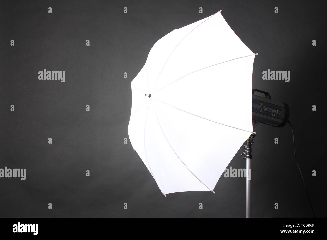 Studio flash with umbrella on grey background Stock Photo Alamy