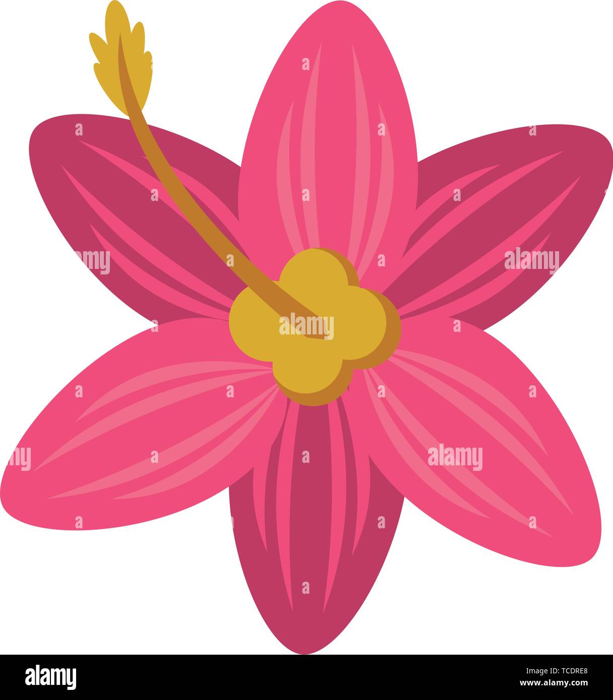 tropical flower icon cartoon isolated Stock Vector Image & Art - Alamy