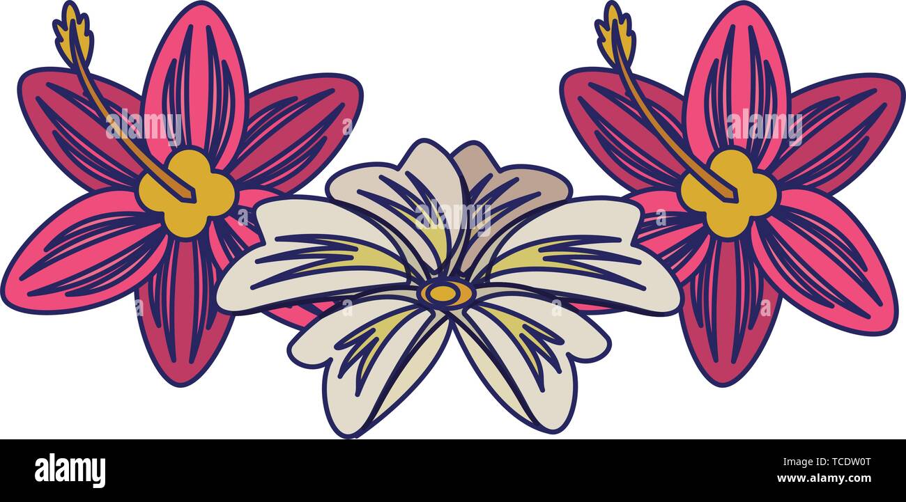 tropical flowers icon cartoon isolated Stock Vector Image & Art - Alamy