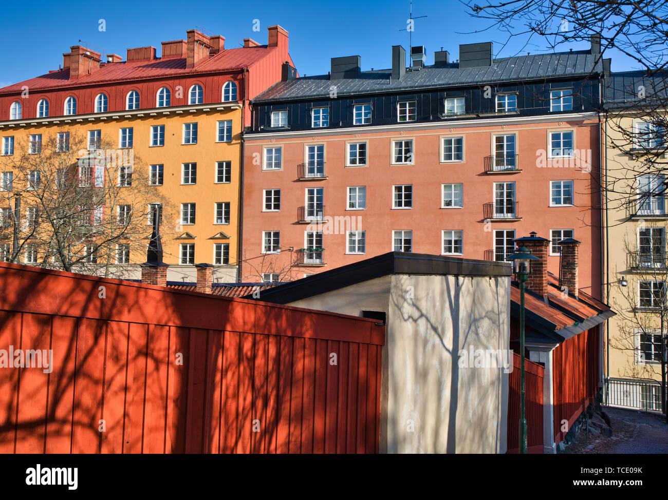 Colourful house facades and traditional falun red fence, Sodermalm, Stockholm, Sweden, Scandinavia Stock Photo