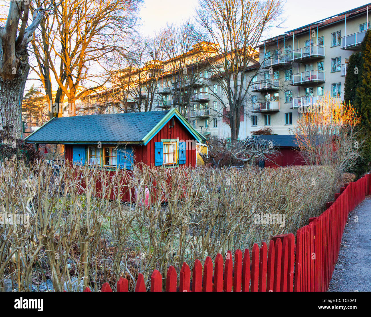 Traditional falun red fence, Tantolunden Allotment Gardens, Sodermalm, Stockholm, Sweden, Scandinavia Stock Photo
