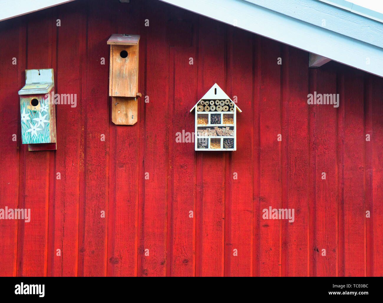 Bird boxes on traditional falu red allotment cottage, Sweden, Scandinavia Stock Photo