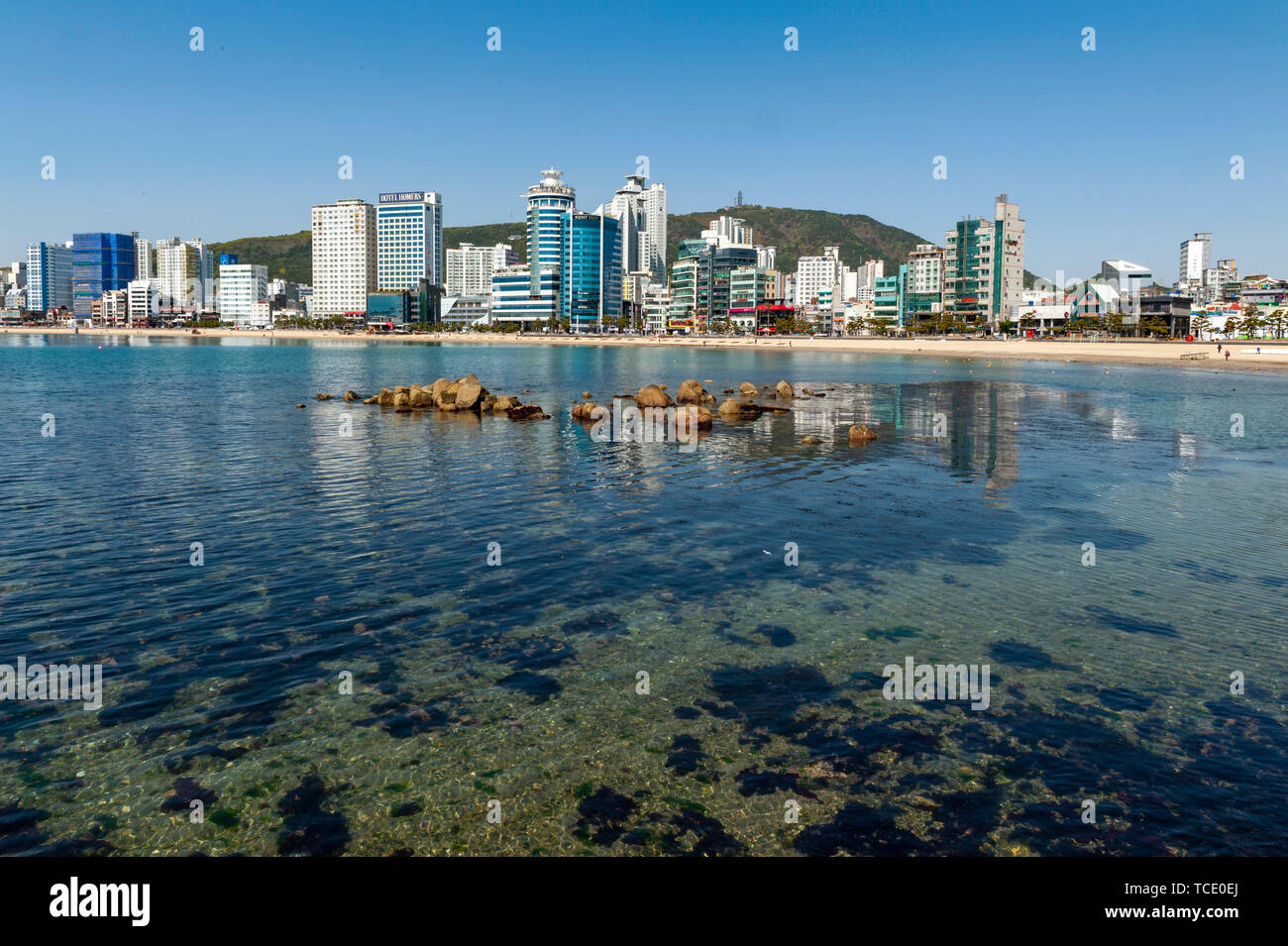 Cityscape view of coastal area of Busan at Gwangalli Beach, a popular tourist destination in Busan, South Korea Stock Photo