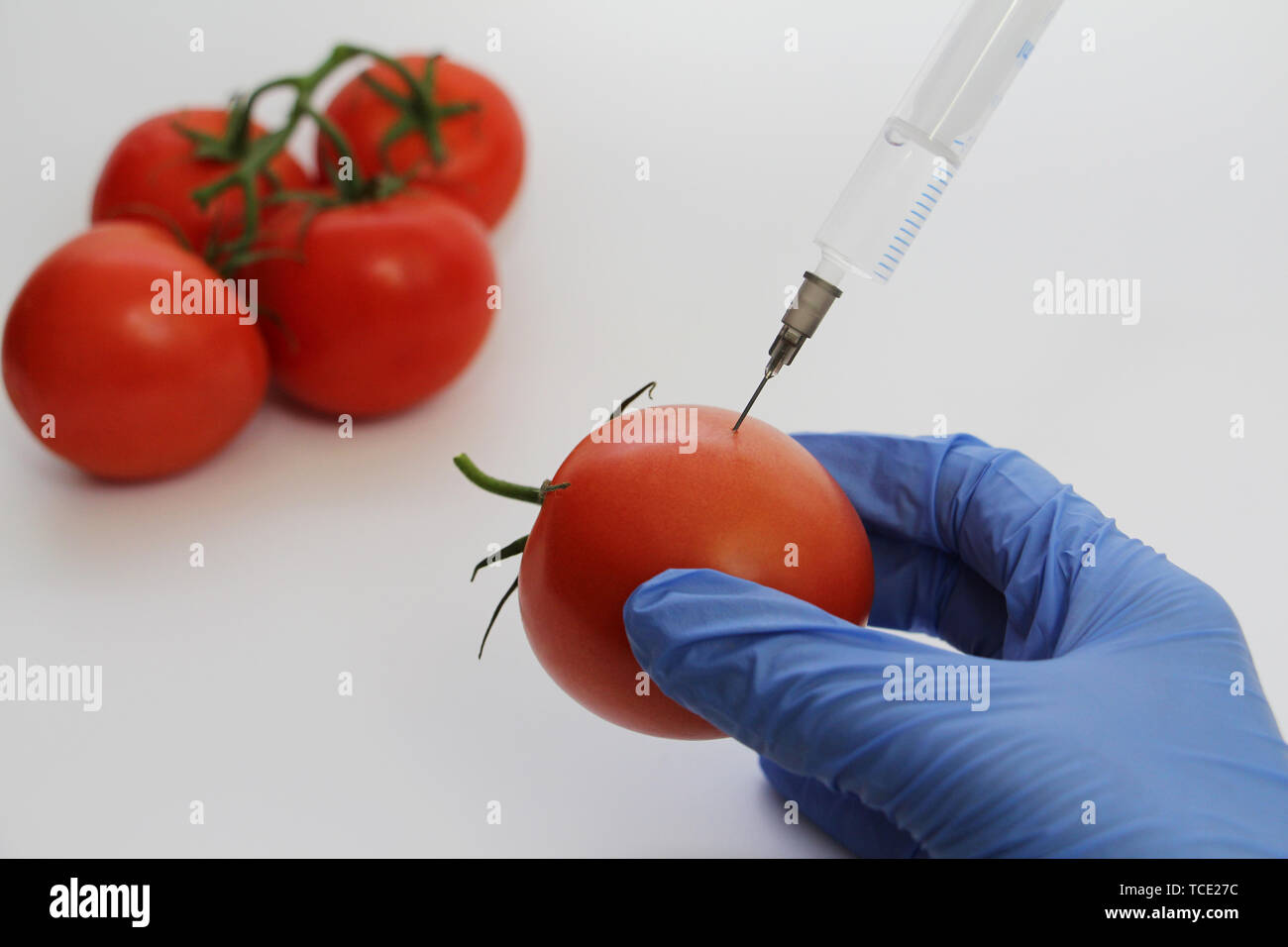 Syringe and tomatoes. The GMO Specialist injects liquid from a syringe into a red tomato. Genetically modified nutritional concept. Stock Photo