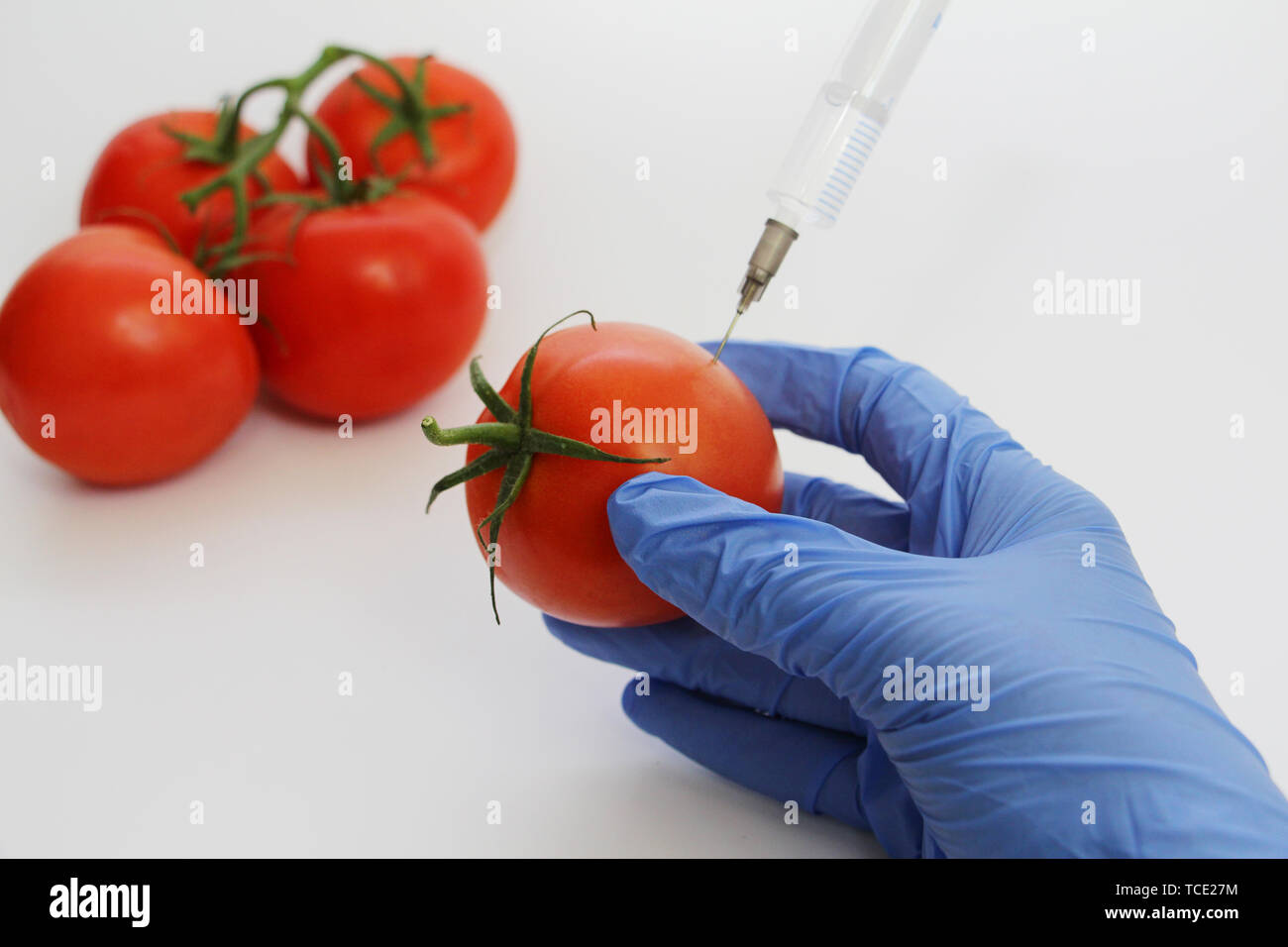 Syringe and tomatoes. The GMO Specialist injects liquid from a syringe into a red tomato. Genetically modified nutritional concept. Stock Photo