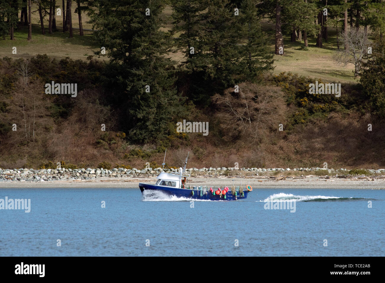 Fishing boat sailing along coastline, British Columbia, Canada Stock Photo