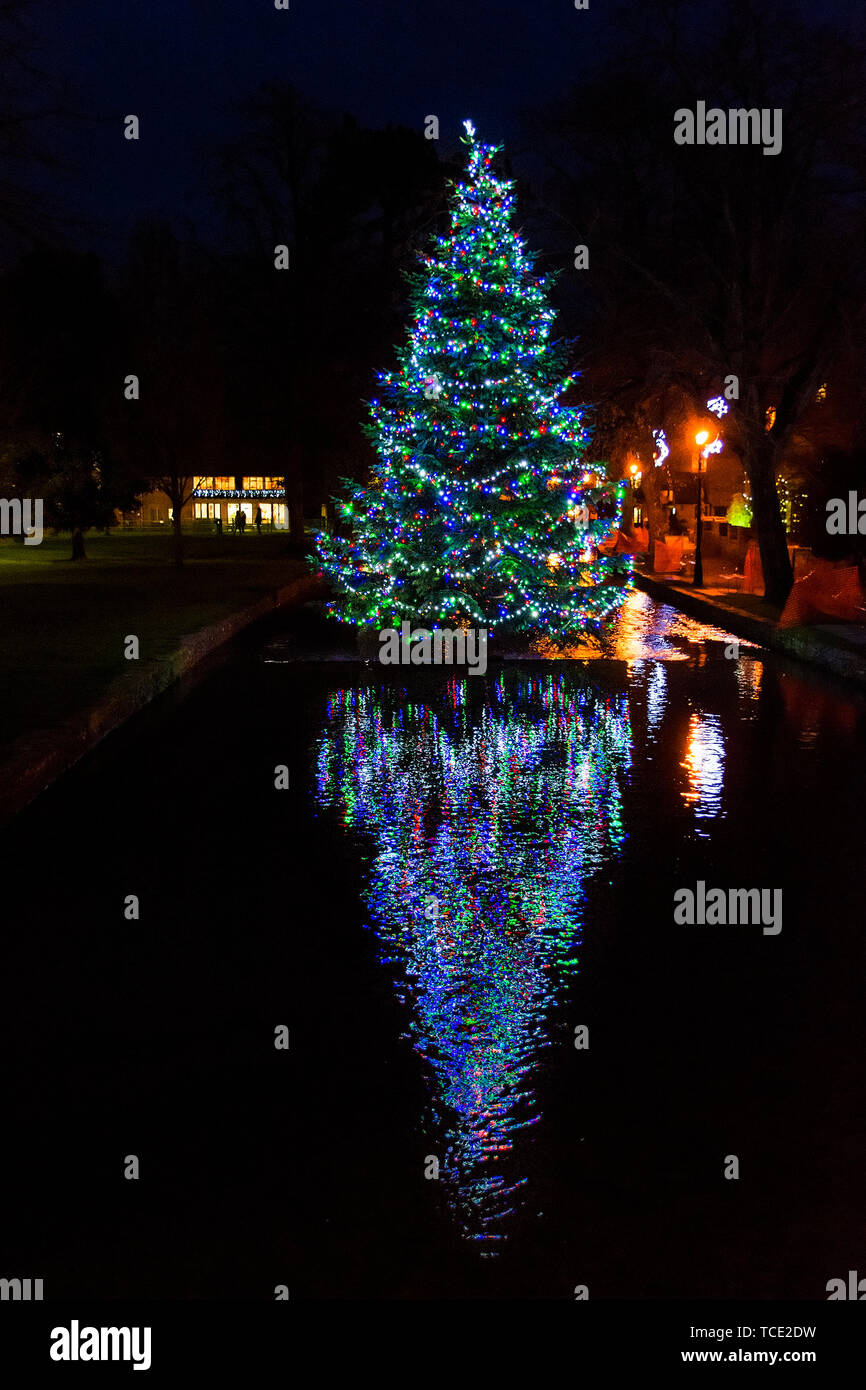 Christmas tree at night, Bourton on the Water, Cotswolds, Gloucestershire, United Kingdom Stock Photo