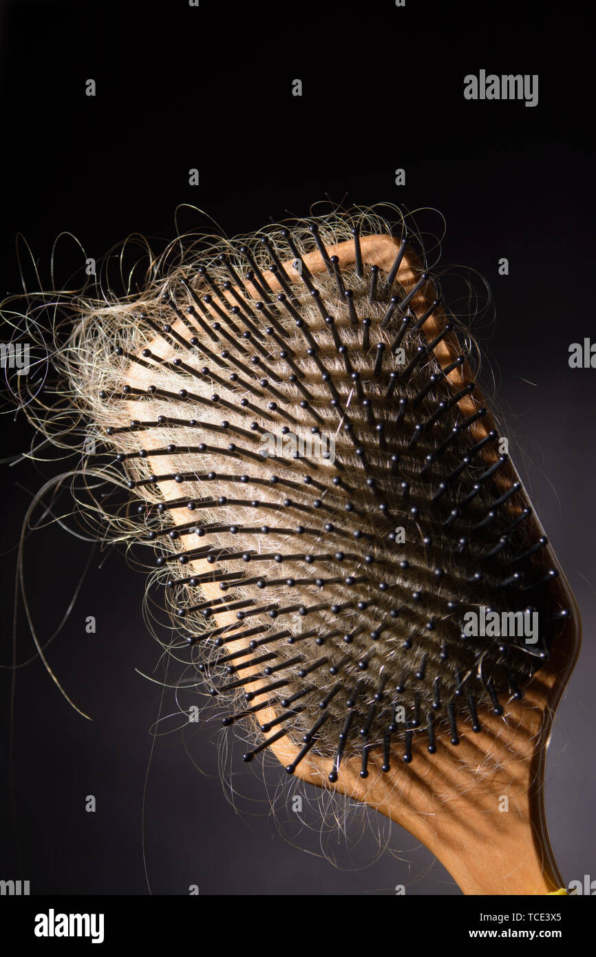 Blond long hair tangled in a wood hair brush Stock Photo Alamy