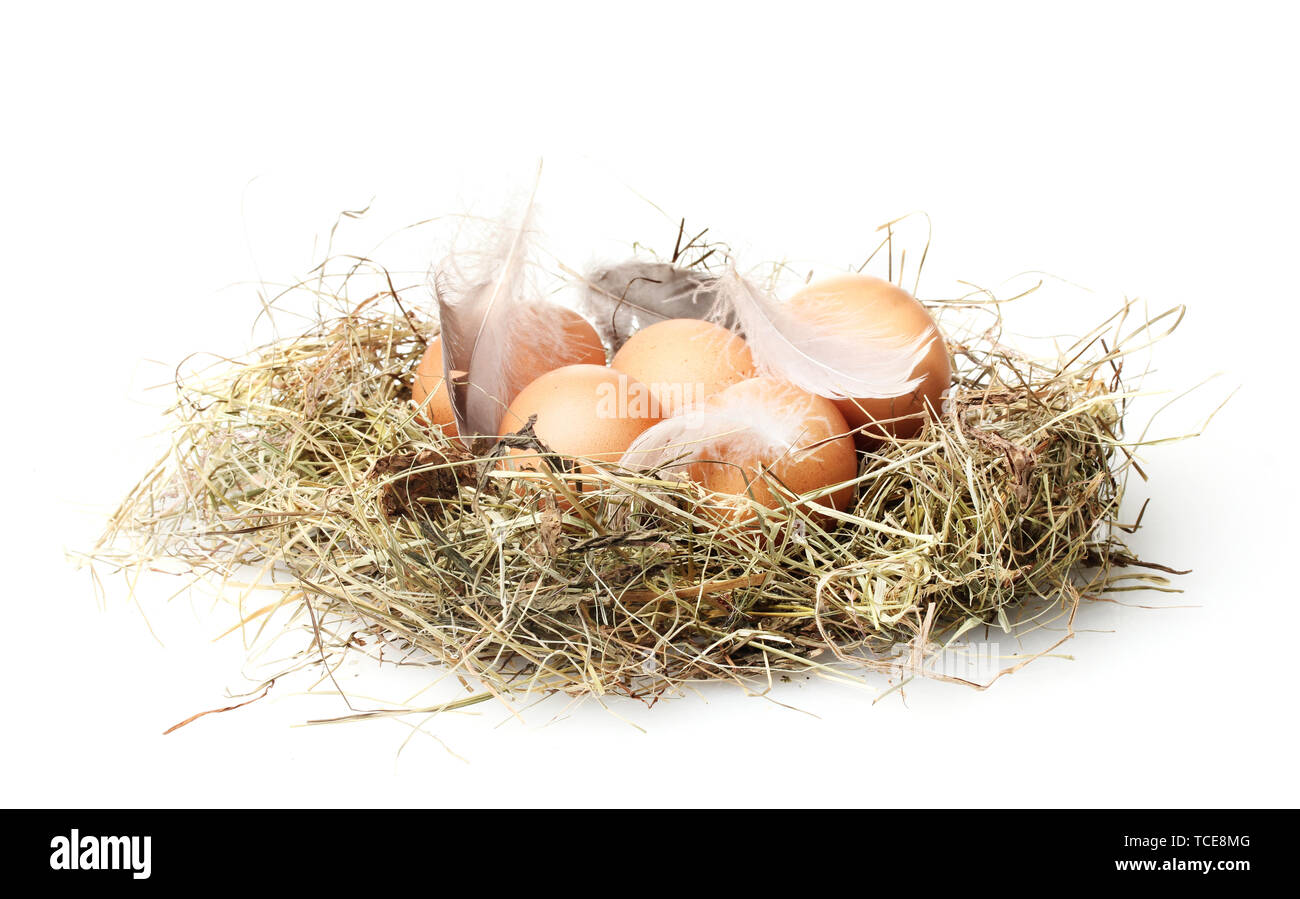 chicken eggs in a nest isolated on white Stock Photo - Alamy