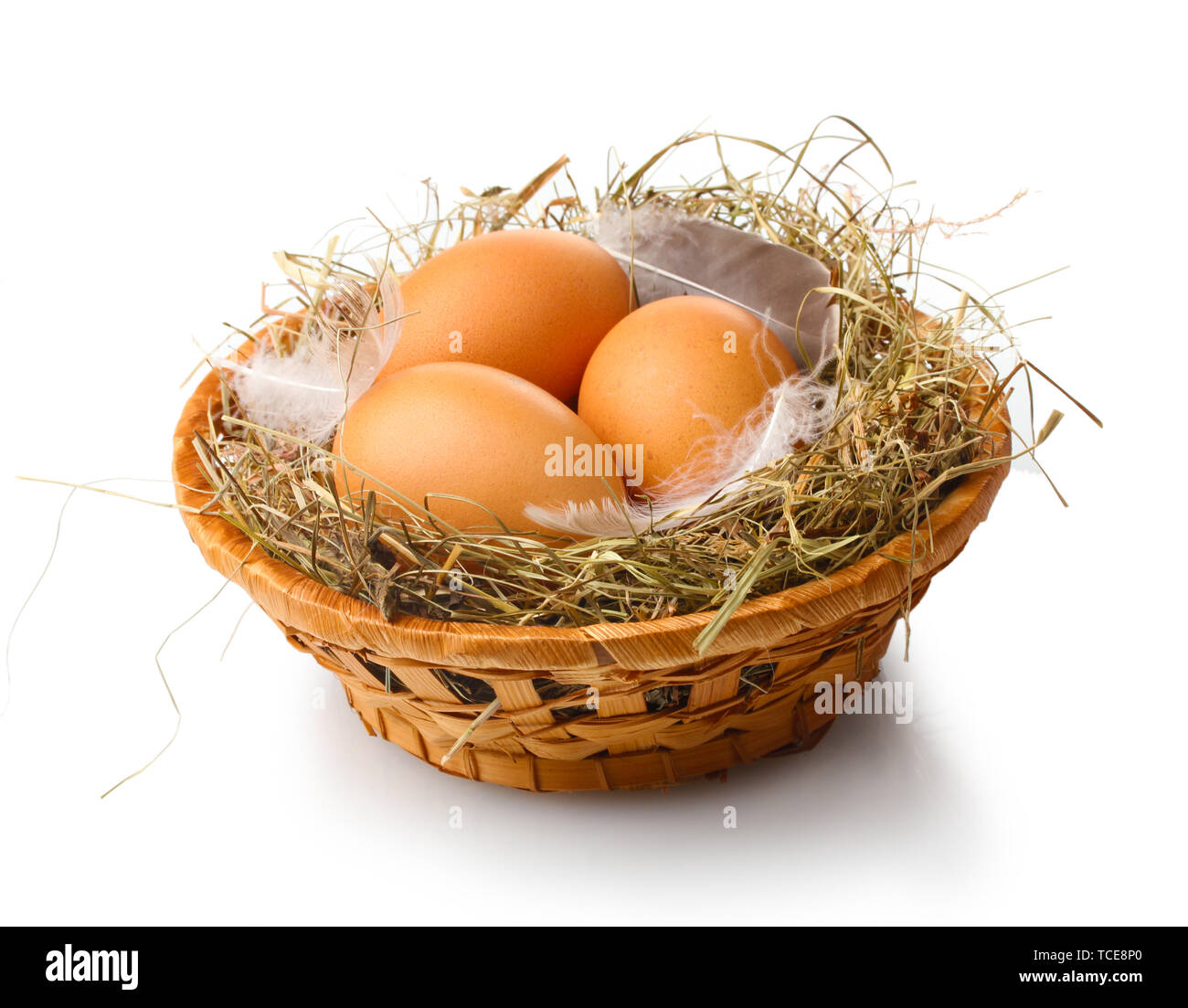 chicken eggs in a nest isolated on white Stock Photo - Alamy