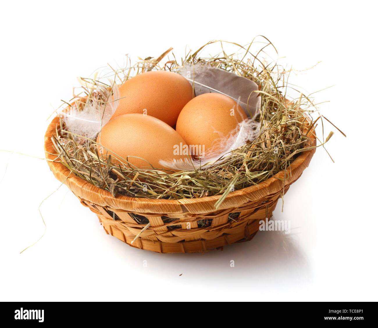 chicken eggs in a nest isolated on white Stock Photo - Alamy