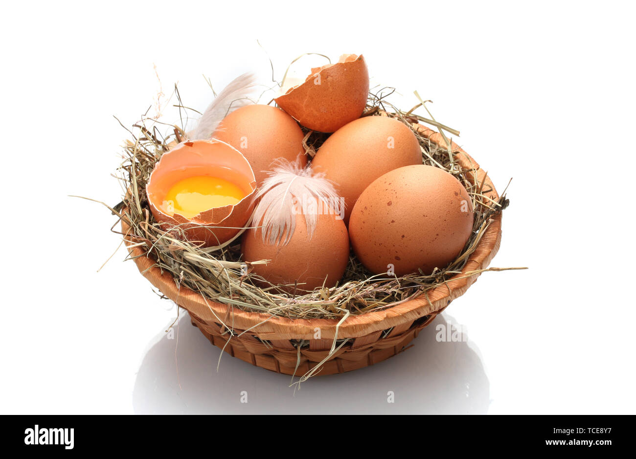 chicken eggs in a nest isolated on white Stock Photo - Alamy