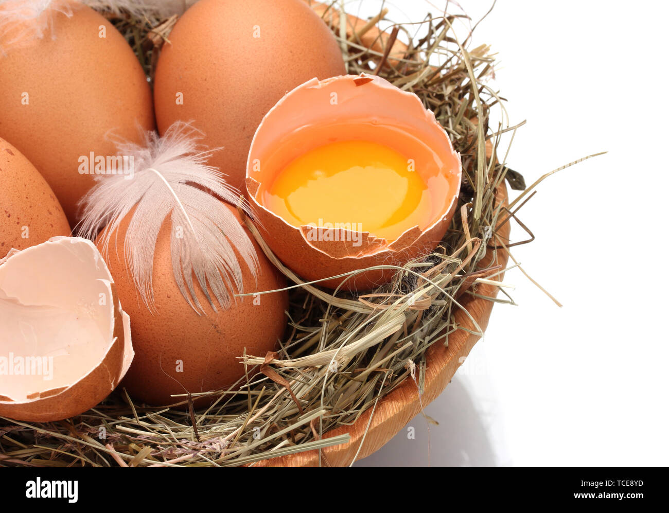 chicken eggs in a nest isolated on white Stock Photo - Alamy
