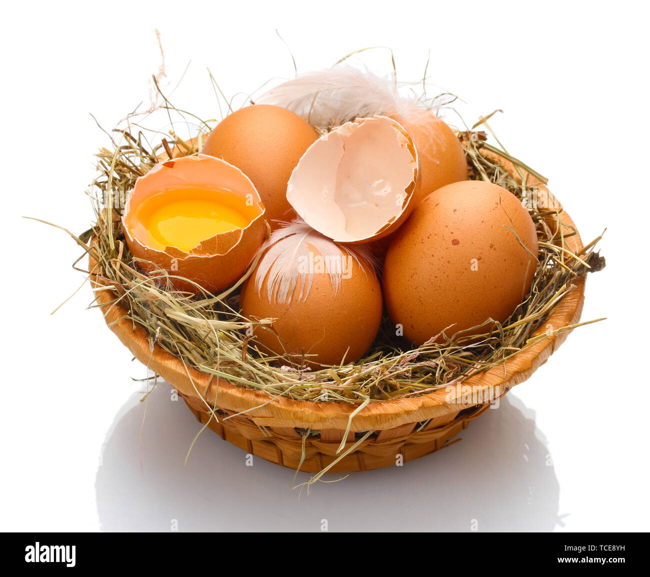 chicken eggs in a nest isolated on white Stock Photo - Alamy