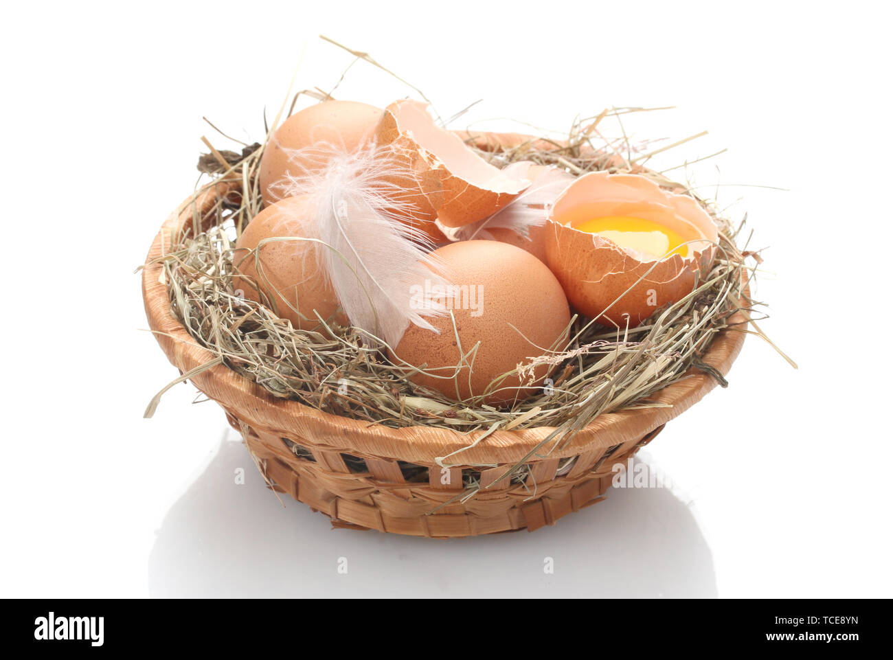 chicken eggs in a nest isolated on white Stock Photo - Alamy