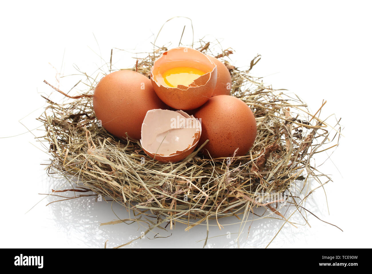 chicken eggs in a nest isolated on white Stock Photo - Alamy