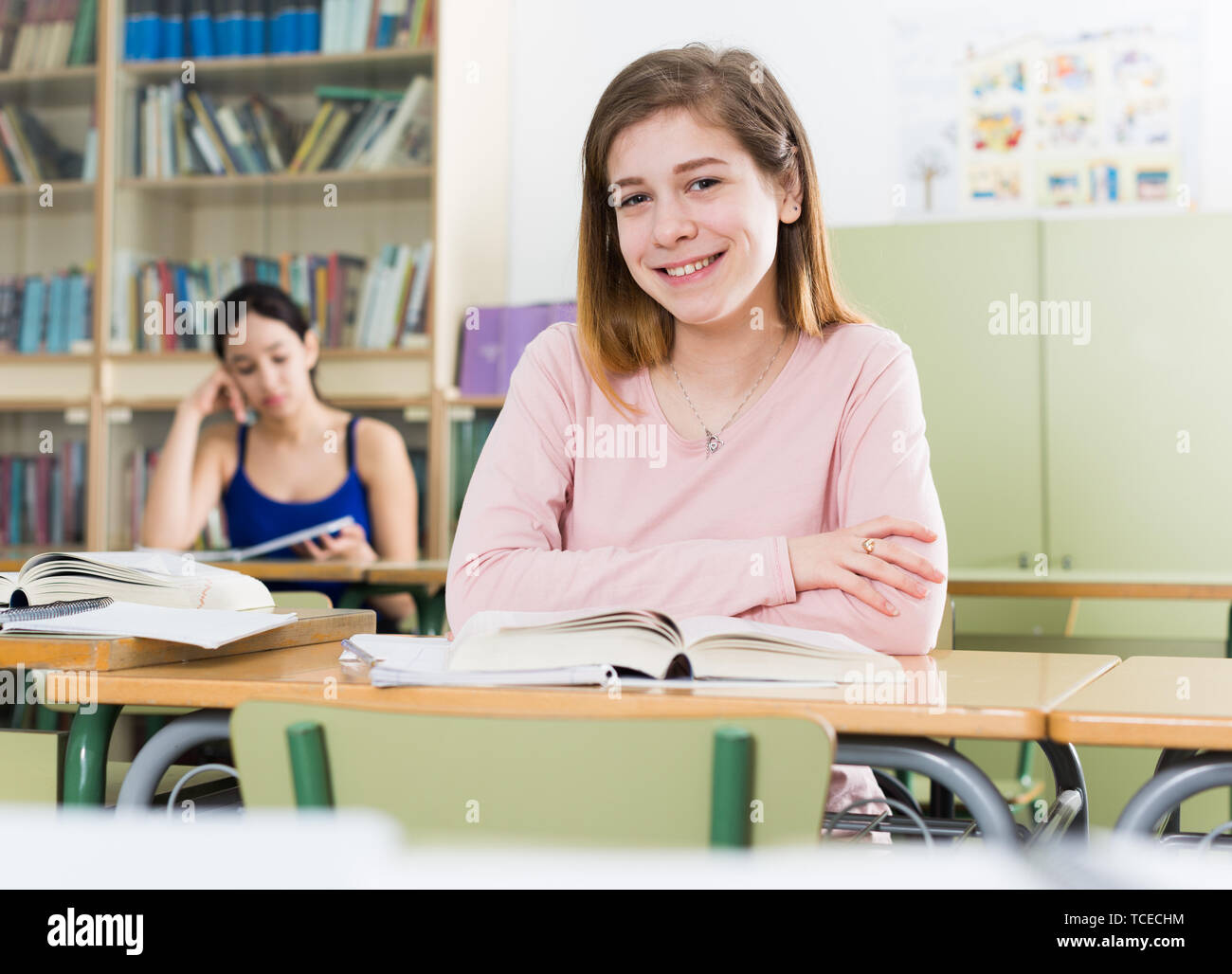 Portrait of smiling schoolgirl who is posing at the desk in the class ...