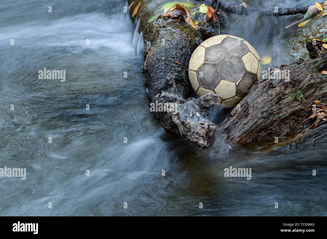 Soccer ball in water held back by branches Stock Photo Alamy